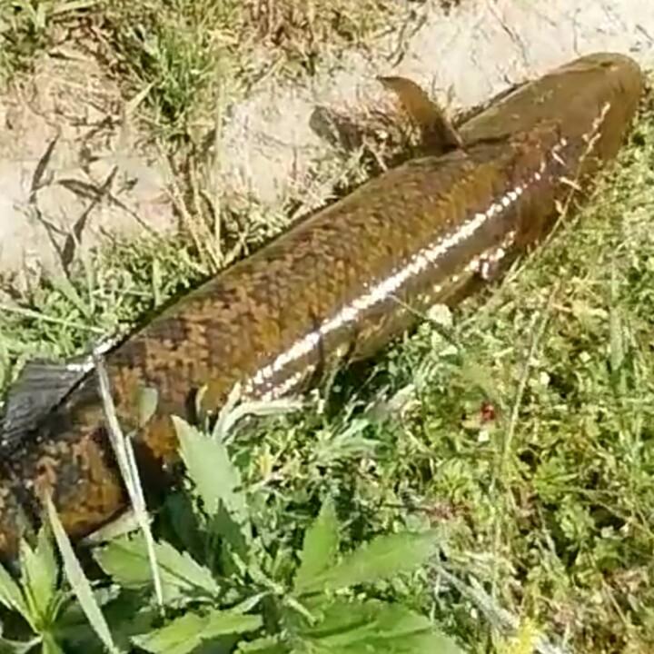 金属废品回收陈冠希