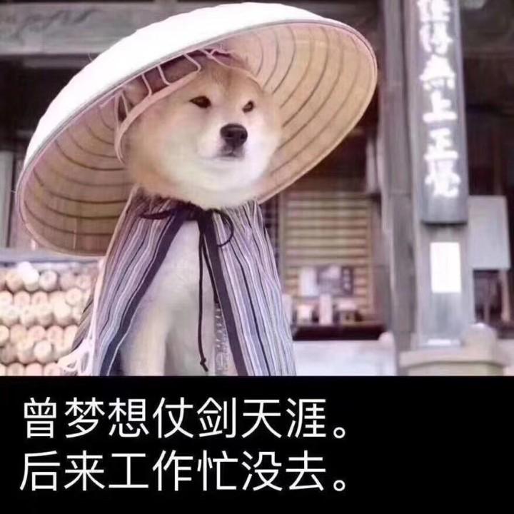 (•̩̩̩̩＿•̩̩̩̩)洋