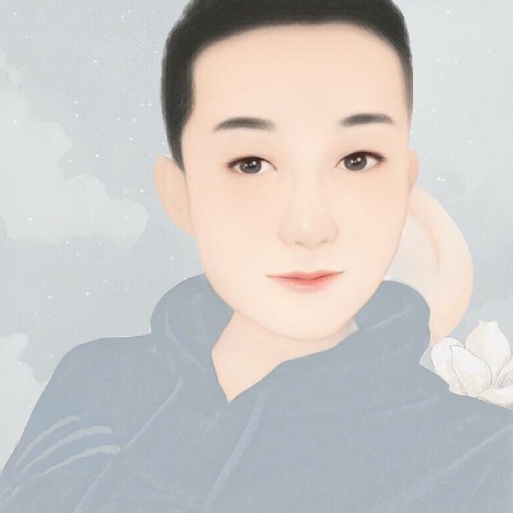 会飞的葵花陀螺子