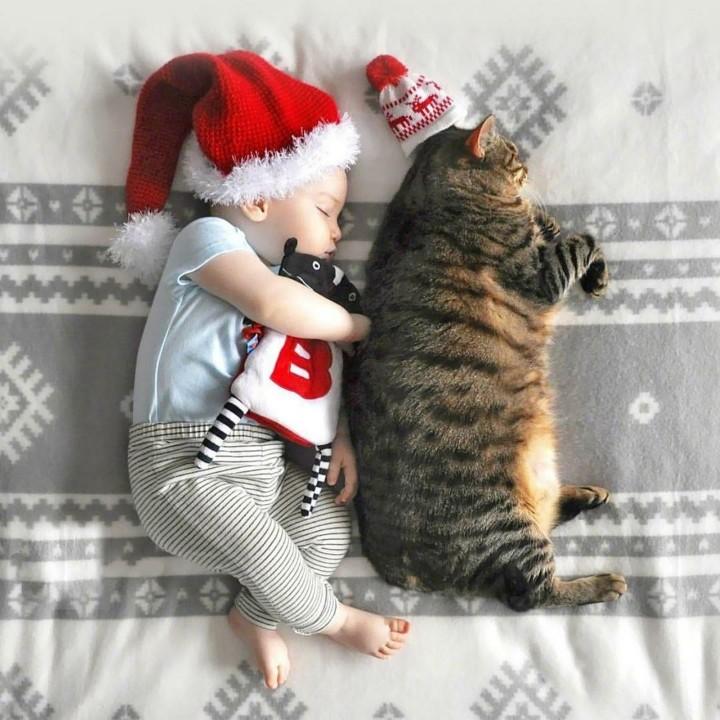 前路不易，记得开心