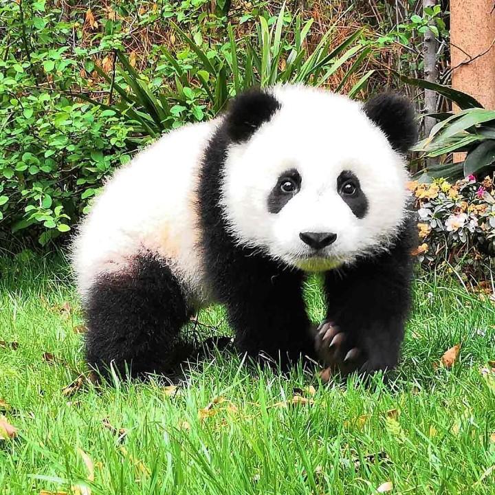 丰润达鞋类专营店