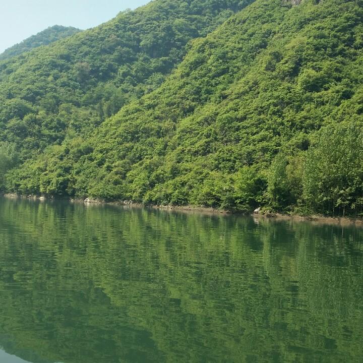 奇哥