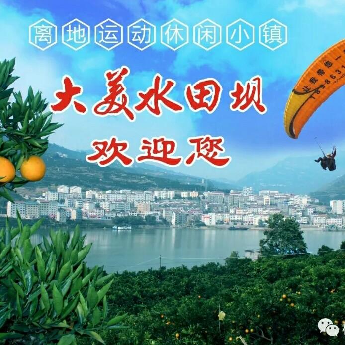 亮锅锅秭归水田坝脐橙