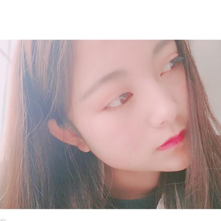 H.猫