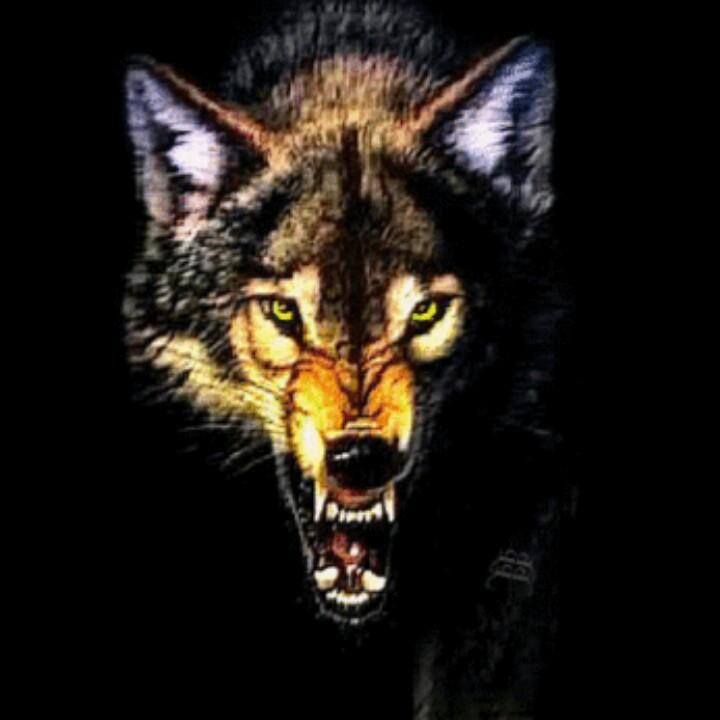 世界美好你当微笑