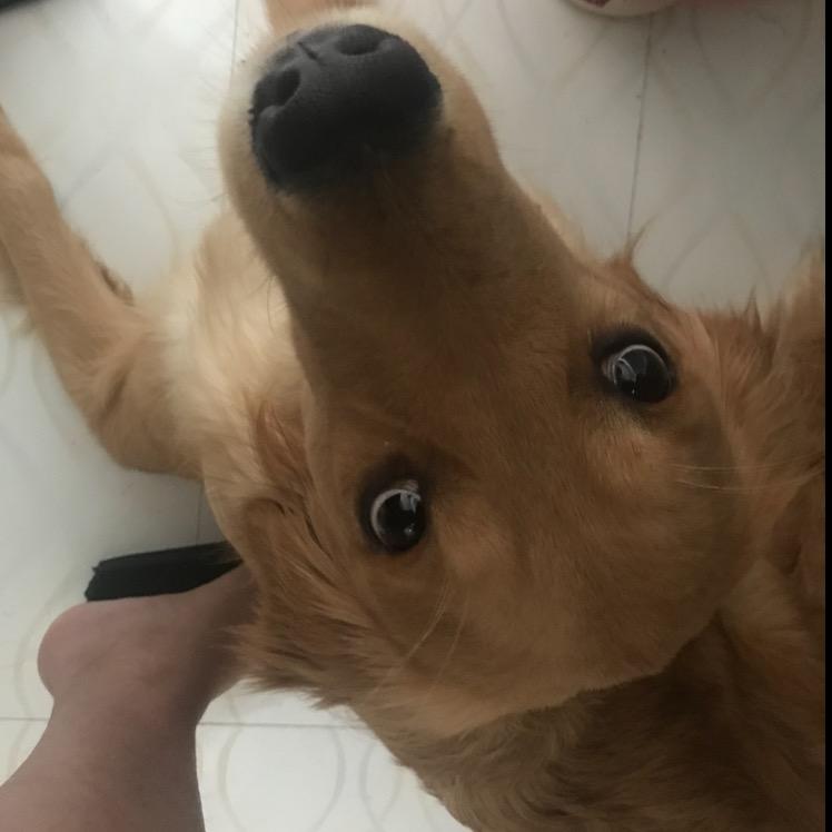 小楠与卜总