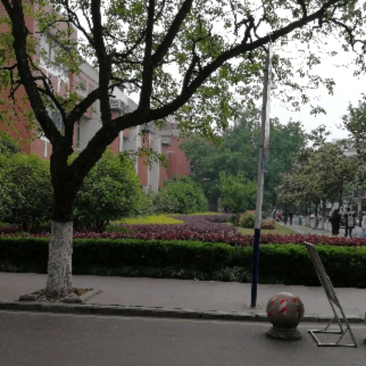陈贰皮