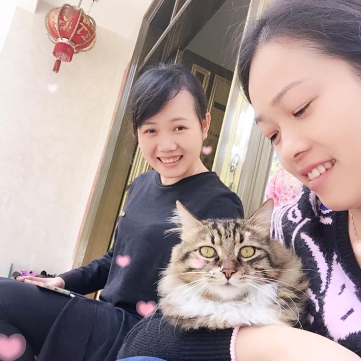 小手套