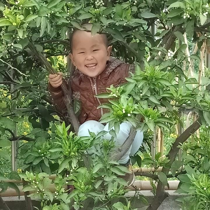雨后彩虹