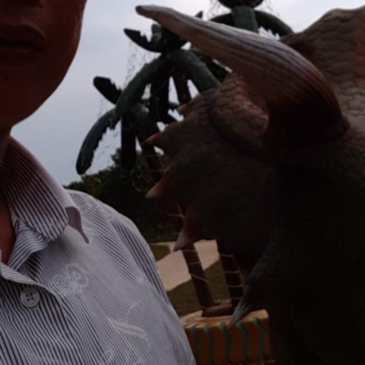 何哥哥