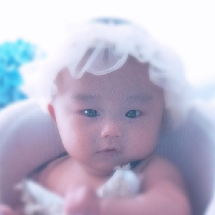 五月的杨柳