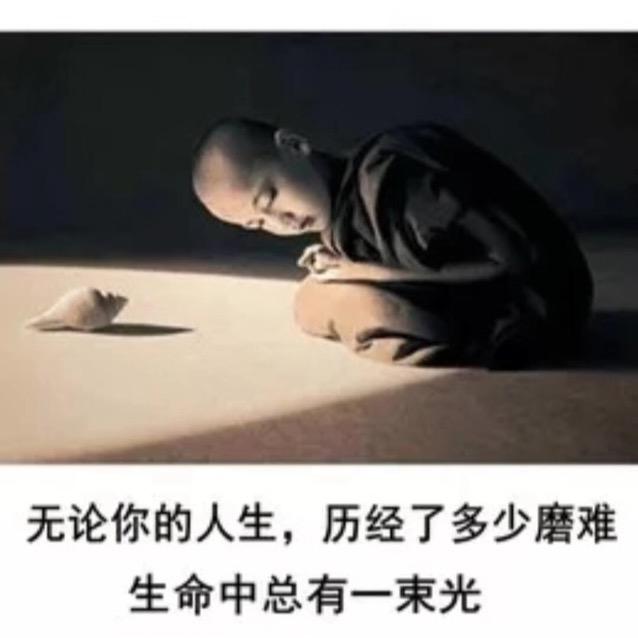 哈喽