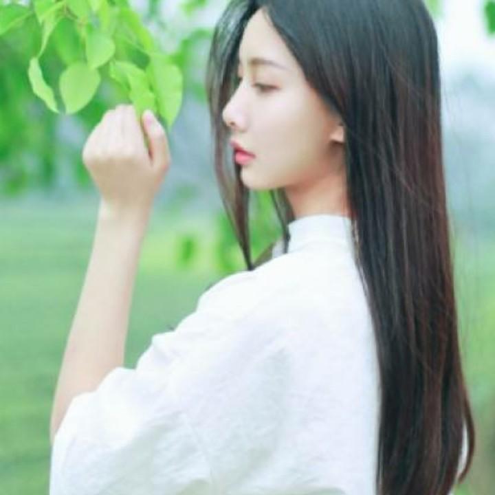 一花一世界