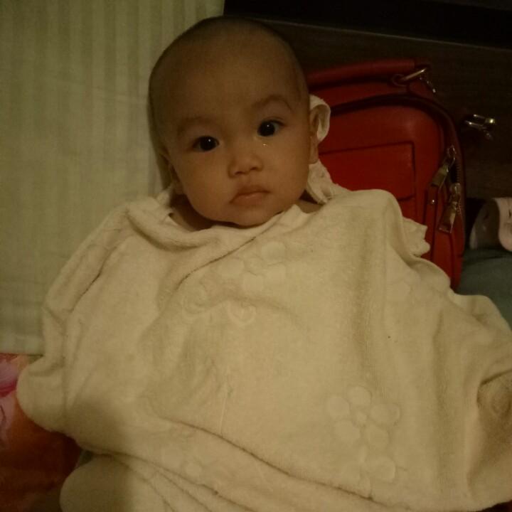 凌晨四点的海棠花