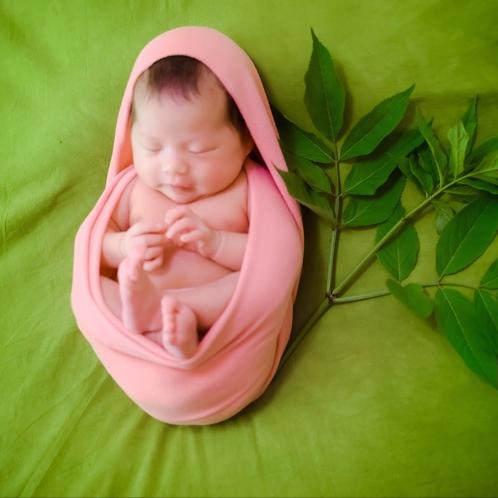 太阳花(*☻-☻*)