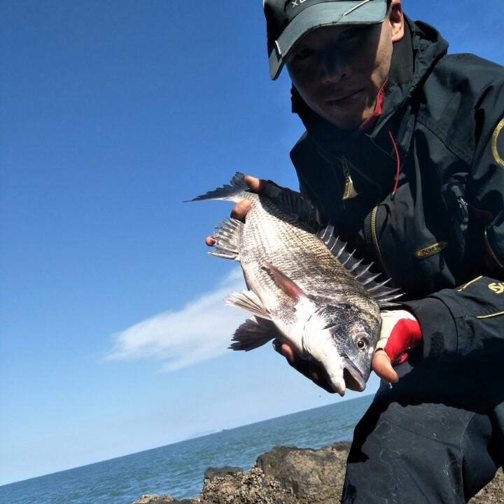 加勒比海带、🐠