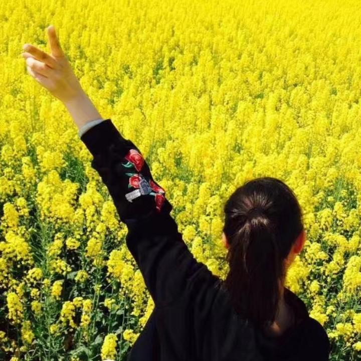 征