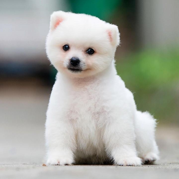 吃饱才有力气减肥