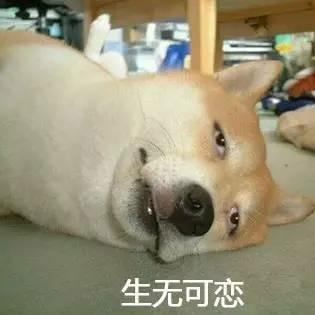 秘密（三角洲行动）