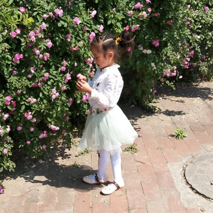 ꧂与风说心事꧁