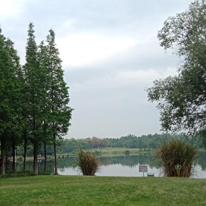 罗小胖