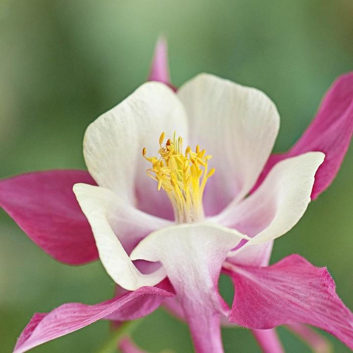 🐇¹⁰.₁₁刘℘࿐