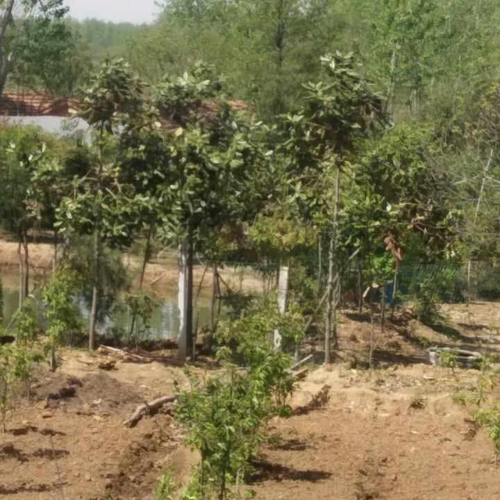 郑州市惠济区伊品轩冻品商行