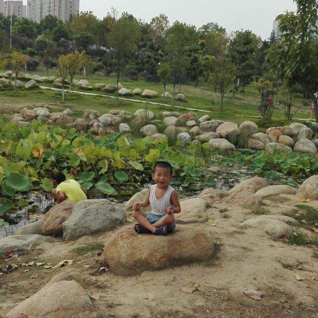 涛子哥