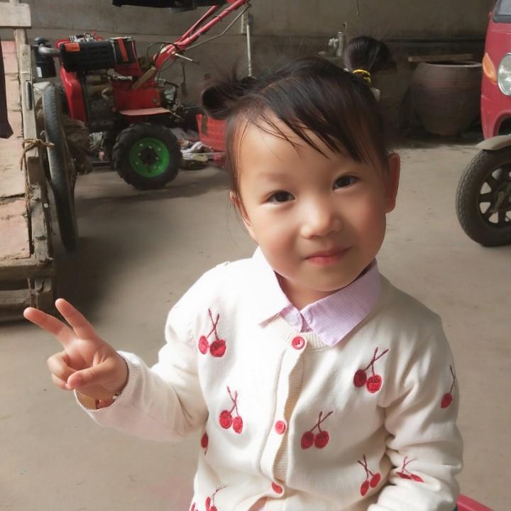 樊花似锦