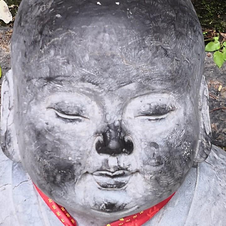 🦄️ 黄河大头鱼🦄️