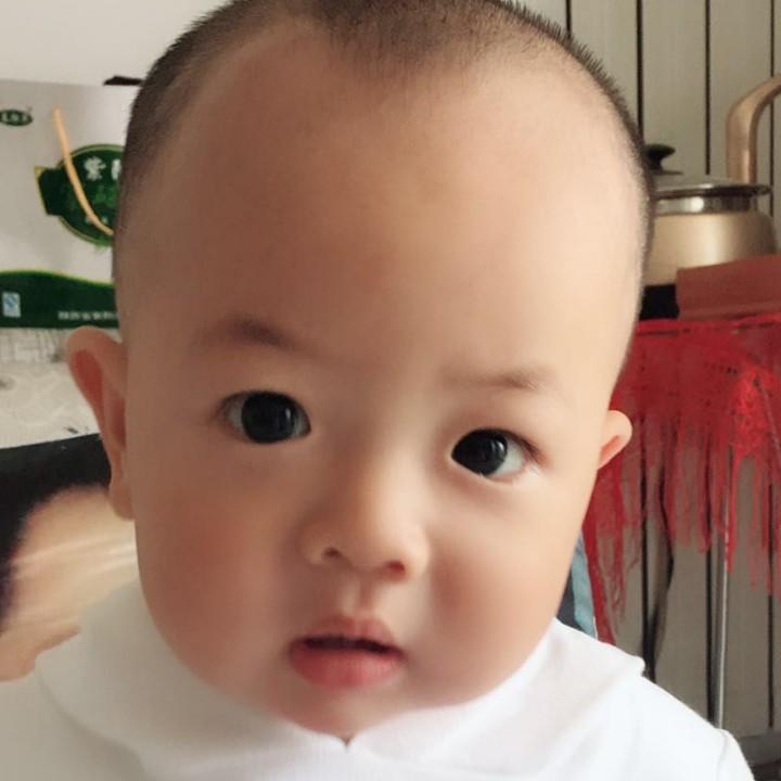 皮皮