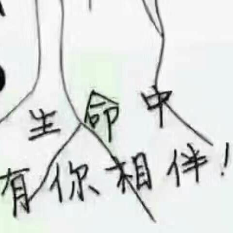 我还是原来的我颜色不一样的烟火