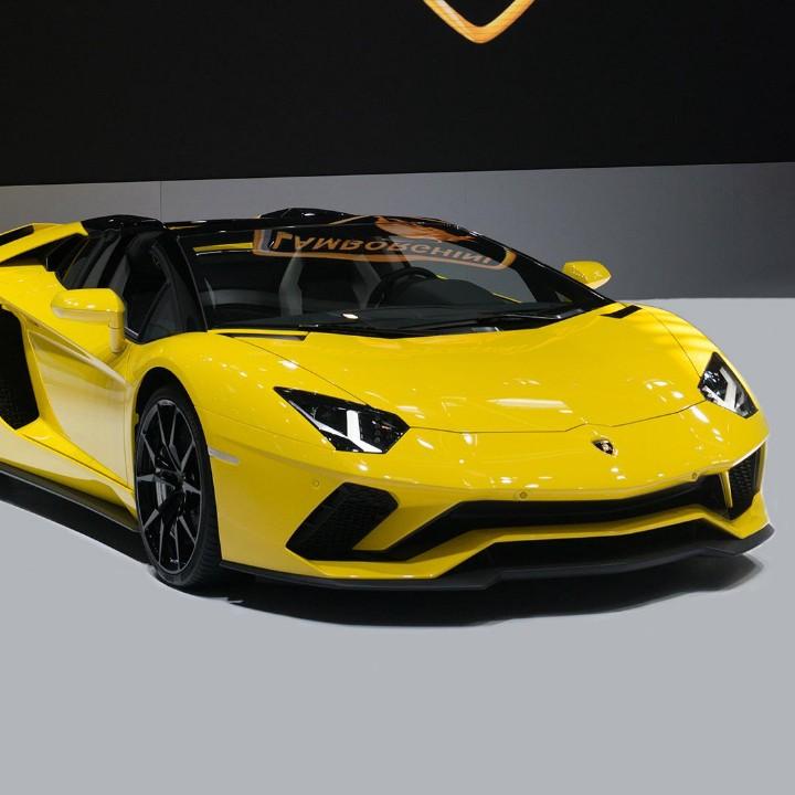 阳光下的好兆头