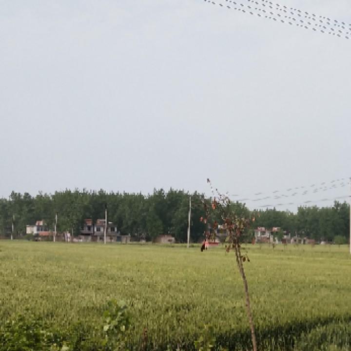 小样