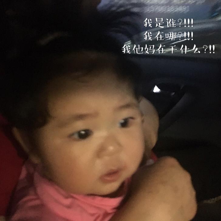 🌈🌈🌈Mortimer