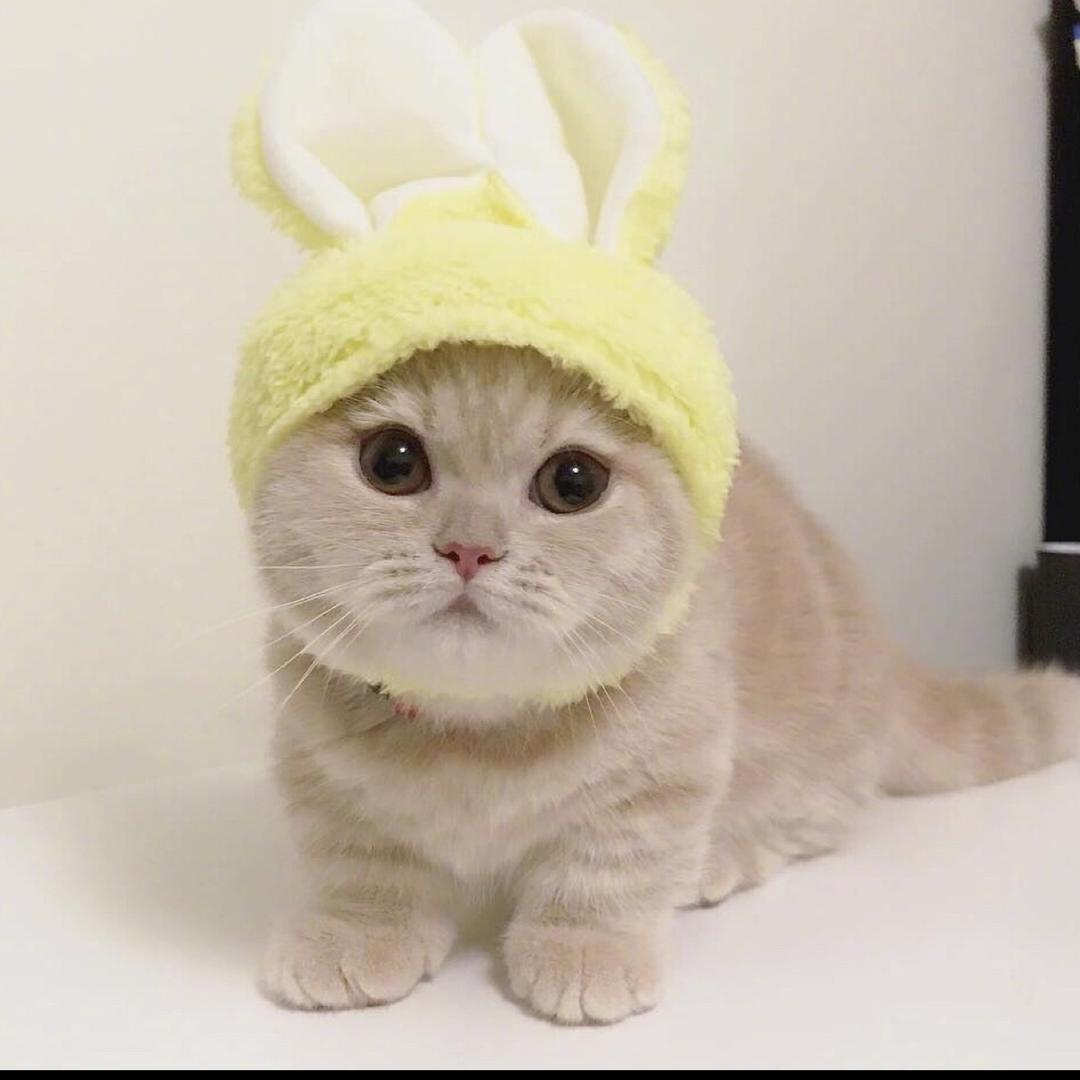 小透明
