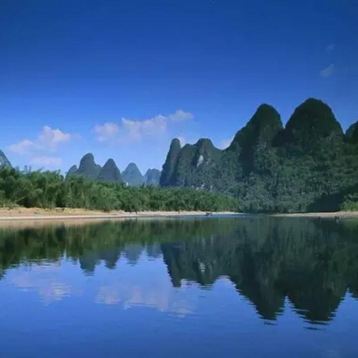 枝叶扶苏