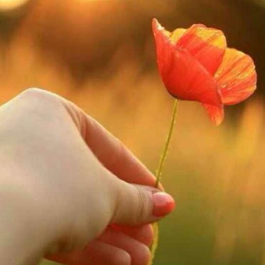 西亚一楼爱迪尔珠宝