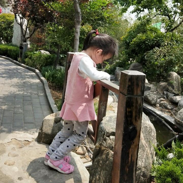 马仔猪宝