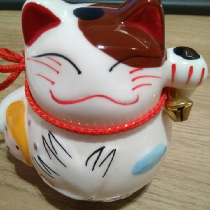 会飞的猪爱做梦