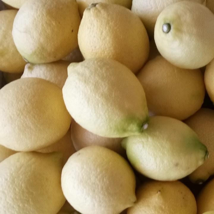 柠檬