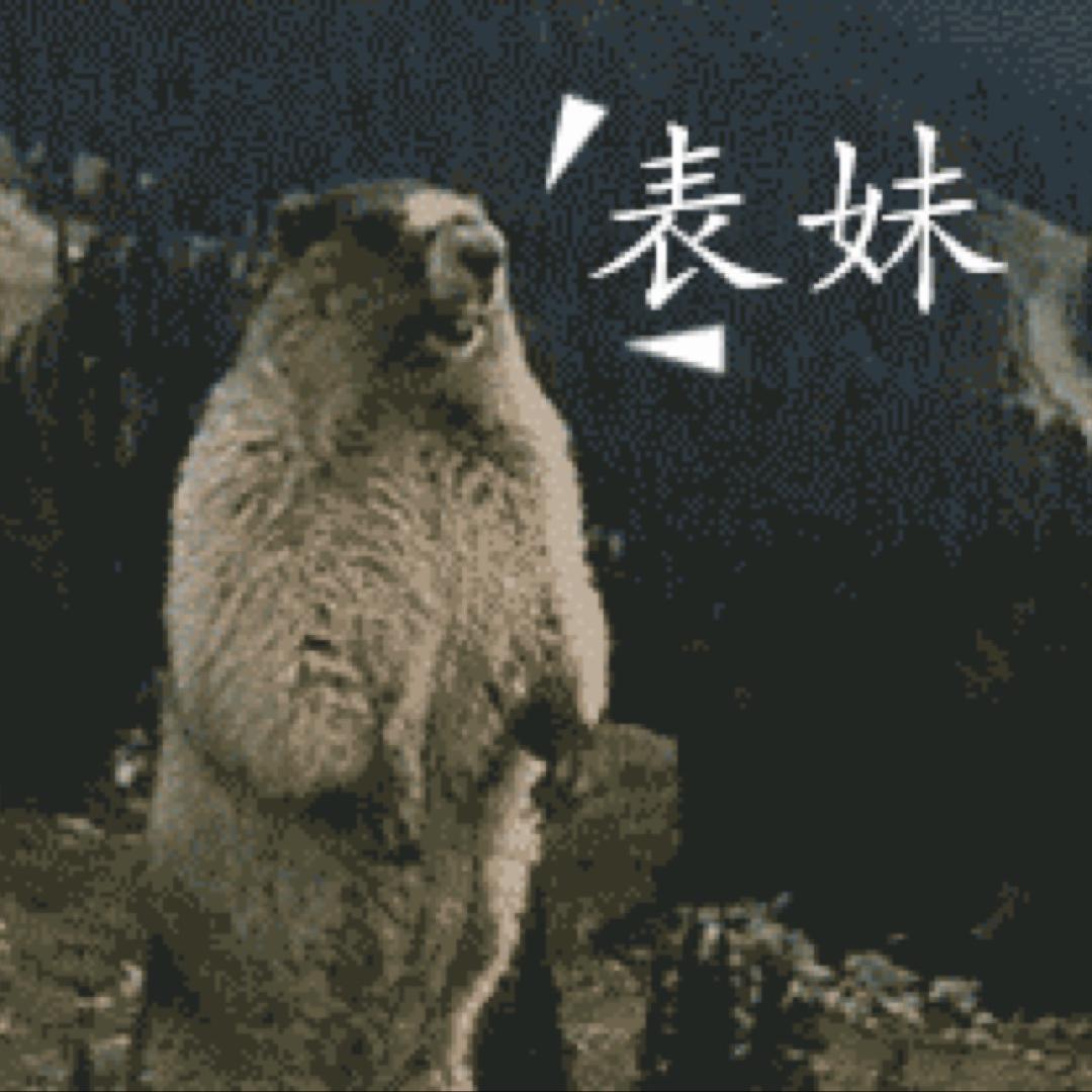 黑马☆
