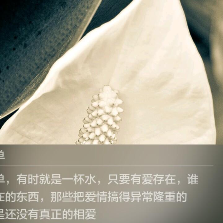 扬帆起航