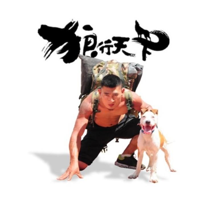 老狼雄起