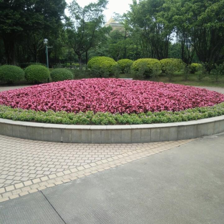 深夜摆渡人《阿伟》