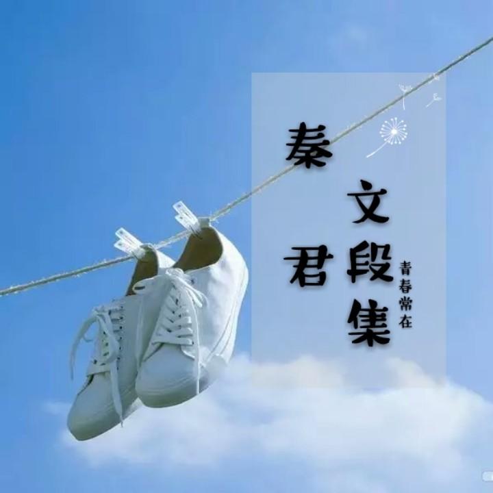 你好，叶子轩