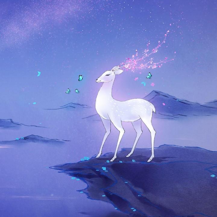梦想