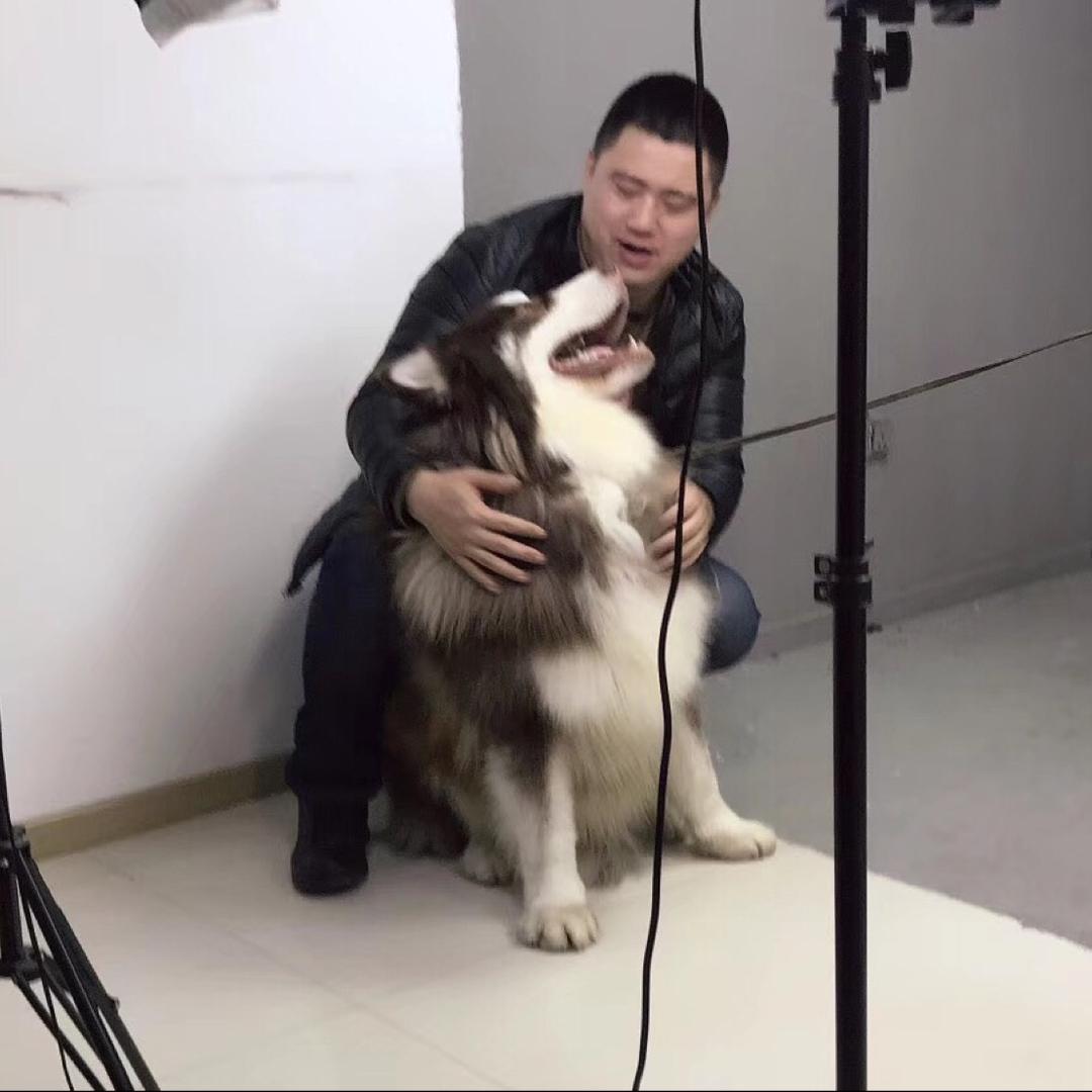 《大炮串吧》《湘椒一碗》