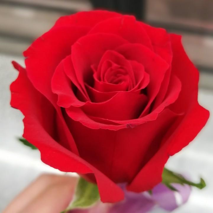 韩耀磊1