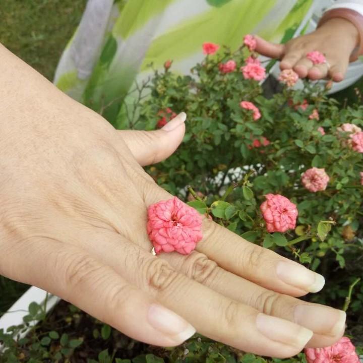 嬿婉